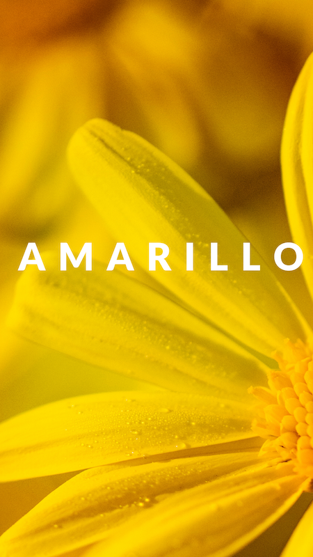 amarillo